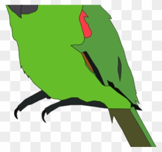 Parrot Clipart Parakeet - Parrot Clip Art - Png Download