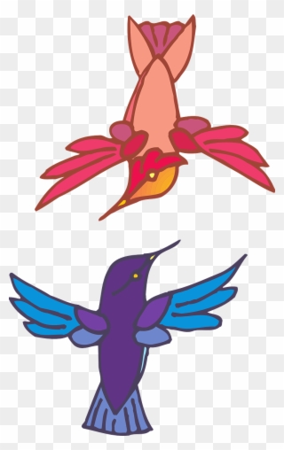 Two Birds Flying Colors Wings Png Image - Flying Two Birds Transparent Clipart