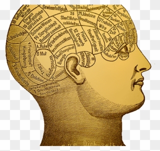 Ethical Concepts For Professional Therapists - Mind Can Change The Brain Clipart