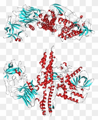 Botulinum Toxin Clipart