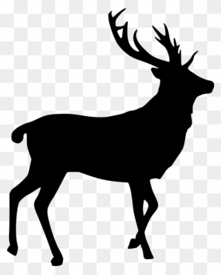 Free Photo Elk Stag Cut Out Bull - Deer Pictures For Photoshop Clipart
