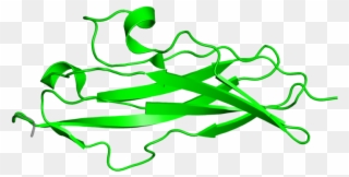 <div Class='caption-body'>5 Copies Of Cath Domain < - Protein Data Bank Clipart