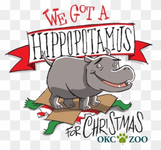 Okc Zoo Welcomes New Hippopotamus Just In Time For - Christmas Hippopotamus Png Clipart
