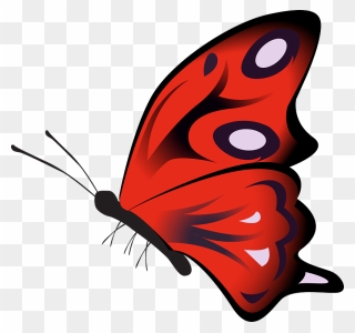 Real Butterfly Cliparts 25, Buy Clip Art - Papillon Rouge Png Transparent Png