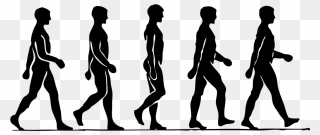 Clipart - Walking - Person Walking Drawing - Png Download