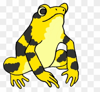 Picture - Panamanian Golden Frog Cartoon Clipart