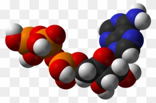 Slow Metabolism - Atp Molecule Png Clipart