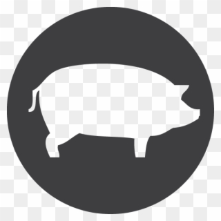 Bacon, Domestic, Farm, Pig, Piglet, Pork Icon - Way Forward Icon Png Clipart