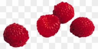 Lychee And Raspberry Transparent Lychee Clipart Transparent - Raspberry Png (#1475198) - PinClipart