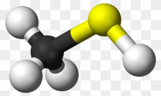 Smelly Sulfur - Methyl Mercaptan Clipart