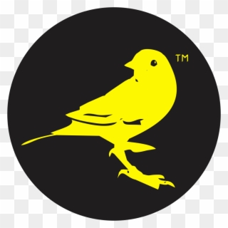 Canary Canary - Canary Connect Clipart