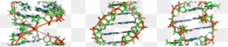 My Personal Gene Map - Molecule Dna Clipart