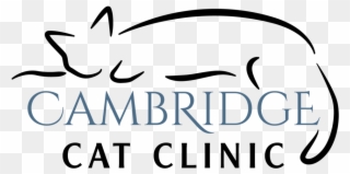 Cambridge Cat Clinic, Llc 1108 Cambridge Street Cambridge, - Calligraphy Clipart