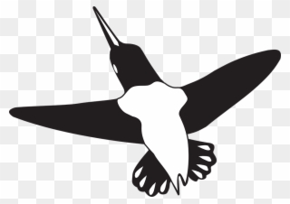 Free Hummingbird Clipart 20, Buy Clip Art - Hummingbird - Png Download