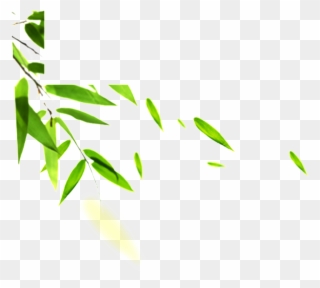 Hand Painted Bamboo Leaves Hd Png - Bamboo Leaves Clipart