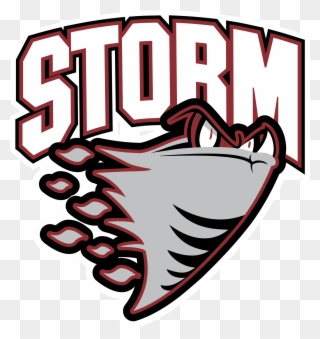 Msk Centre Is Proud To Provide Sports Medicine And - Guelph Storm Logo Png Clipart