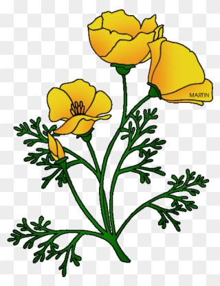 California Poppies Clipart Clipground Flower Border - California Poppy Clip Art - Png Download