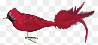 Old World Christmas Red Cardinal Glass Bird Ornament - Christmas Ornament Clipart