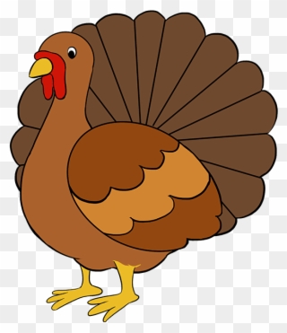 Drawing Of Turkey Clipart