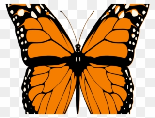Monarch Butterfly Clipart Realistic - Iron Butterfly: Live Dvd - Png Download
