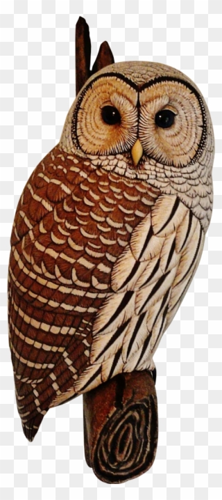 Carved Wooden Owl Clipart