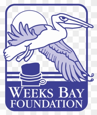 Weeks Bay Foundation Clipart