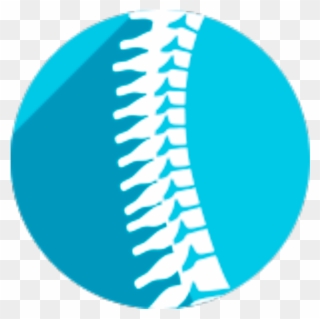 Spine - Vertebral Column Clipart