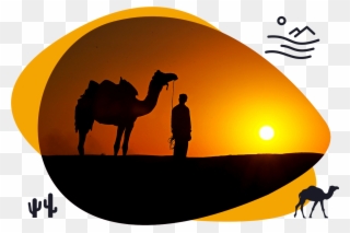 Half Day Sunset Camel Safari Shiva Camels Jaisalmer - Desert And Camel Background Clipart