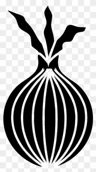 Onion - Illustration Clipart