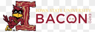 Kassidy - Iowa State Cyclones 3x5 Decal Clipart