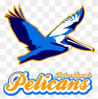 Pelicanlogo - Accipitridae Clipart