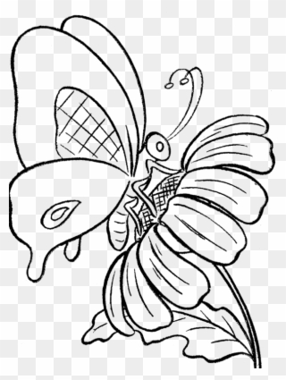 Flower Cartoon Pictures - Drawing Of A Butterfly On A Flower Clipart