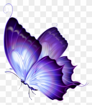 Фото, Автор Svetlera На Яндекс - Very Very Beautiful Butterfly Clipart