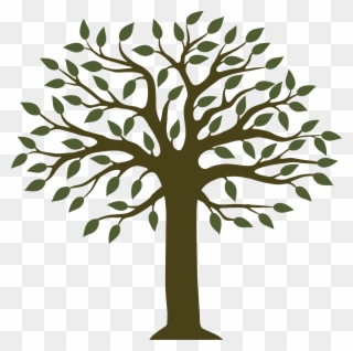 The Learning Tree Childcare Centers Tree - Given Limb Foundation Clipart