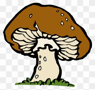 Pilz Groß Brown Kostenloses - Mushroom Clip Art - Png Download