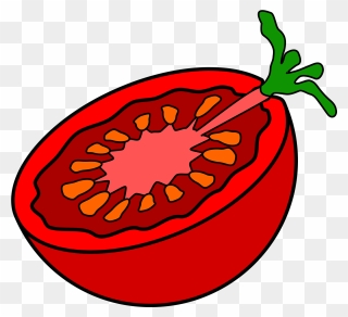 Inside Of Tomato Drawing Clipart