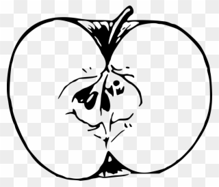 Medium Image - Apple Drawing Png Clipart