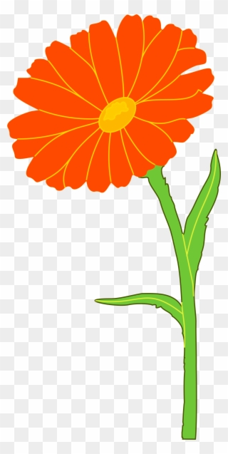 Marigold Free Cut Out - Marigold Png Clipart