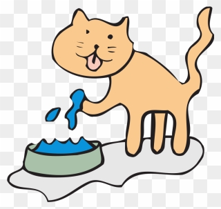 Clipart Cat Bath - Animal Drink Water Clipart Png Transparent Png