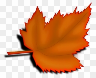 Maple Leaf Clipart November Leaves - Tree Leaves Clip Art - Png Download
