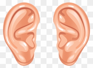 Ear Png Transparent Images - Human Ear Ears Clipart