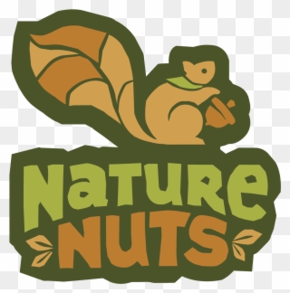 Forest School Nature Nuts - Nature Nuts Clipart