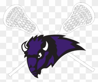 Buffalo Youth Lacrosse Club - Buffalo Bison Logo Lacrosse Clipart