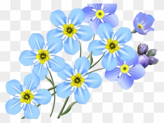 Forget Me Not Clipart Bunch - Forget Me Nots Clipart - Png Download