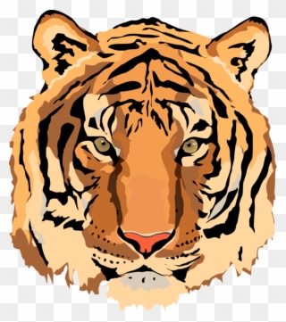 Tiger Vector Image Clipart Best - Porte-monnaie Orange - Tri-coastal - Femme - Png Download