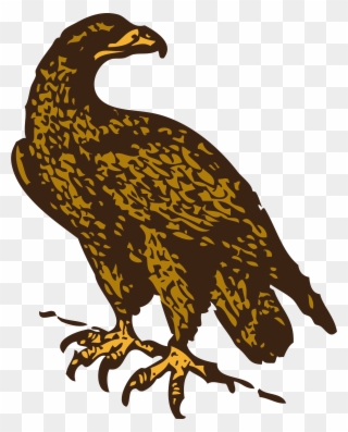Vector Hawks Hawk Claw - Golden Eagle Clip Art - Png Download