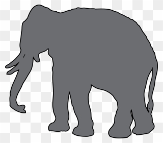 Safari1gray Clip Art Animal - African Bush Elephant - Png Download