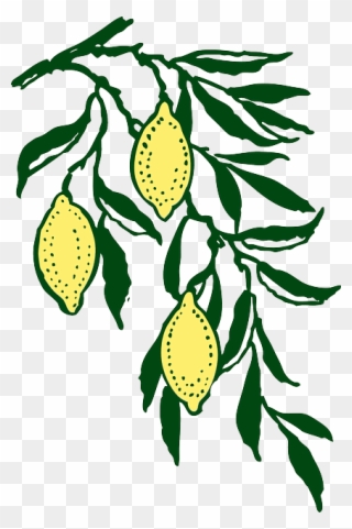 Youth Fundraiser For Mission Trip - Lemon Branch Clip Art - Png Download