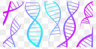 Almost Everything About You Is Known To Be At Least - Genetics Clipart