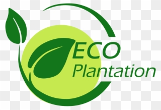 Eco Plantation - Logos Eco Hd Clipart